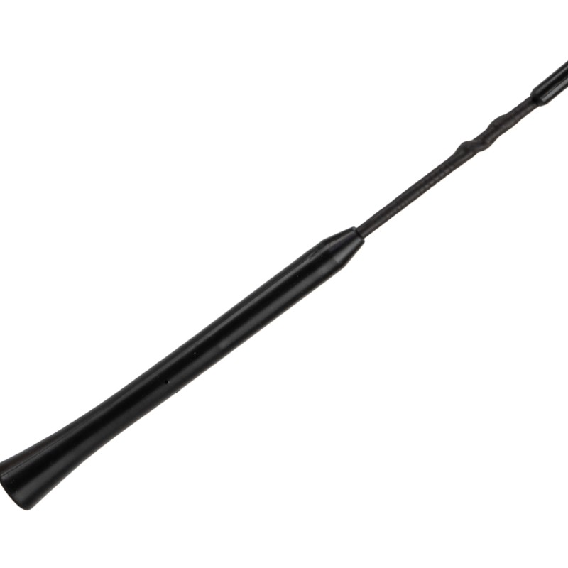Antennenstab AM/FM 23cm M5/M6 16V