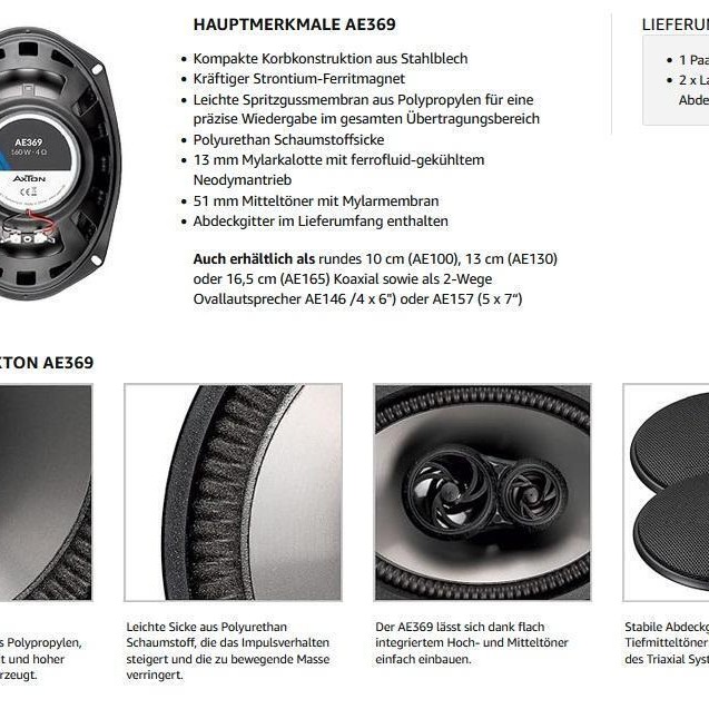 AXTON AE369 6 x 9 3-Wege Coax System