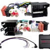 LFB Audi ISO/Mini ISO/Quadlock Multilead Amp >Cinch