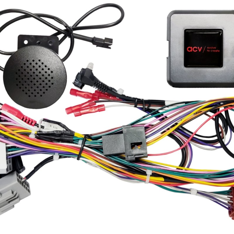 LFB Ford Fiesta 06/2010-09/2012 24Pin/Display Multilead