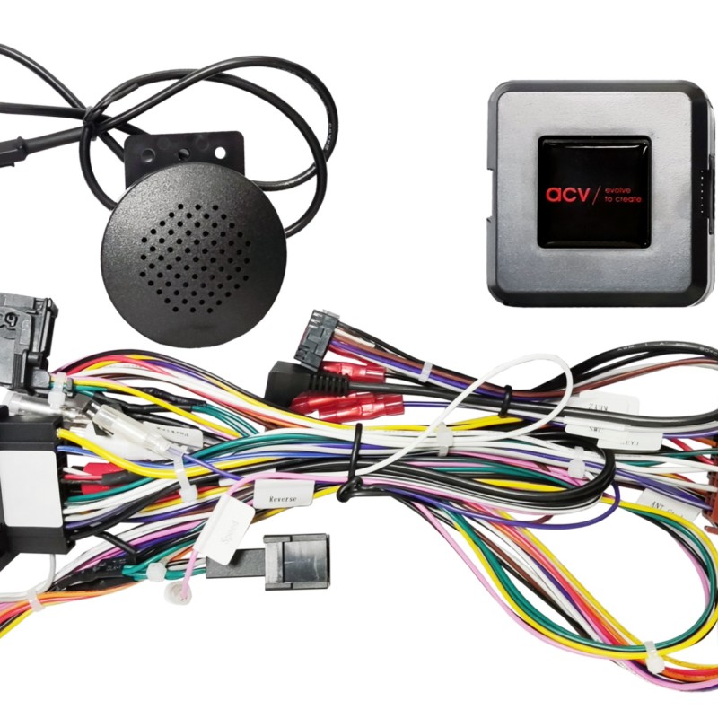 LFB Ford Fiesta 10/2008-06/2010 14Pin/Display Multilead