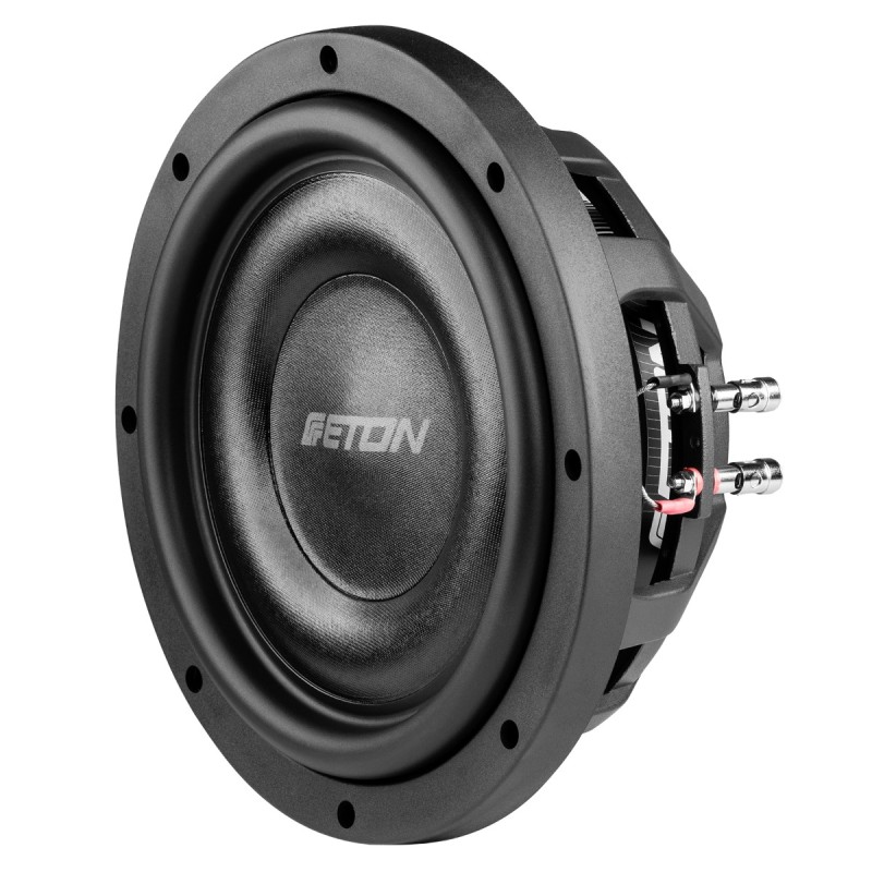ETON Move MW10FLAT 25 cm Flachsubwoofer Chassis
