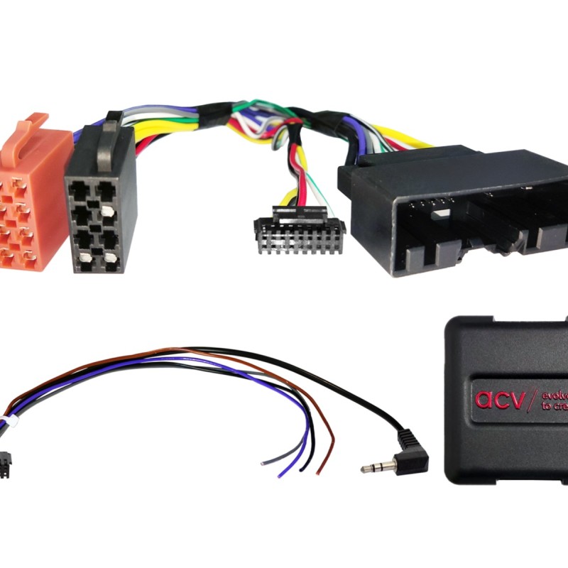 LFB Ford Fahrzeuge 24Pin/ohne Display Multilead