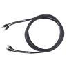 ETON RCA2P-55 2-CH Performance Cinch Kabel 5.50 m
