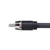 ETON RCA2P-55 2-CH Performance Cinch Kabel 5.50 m