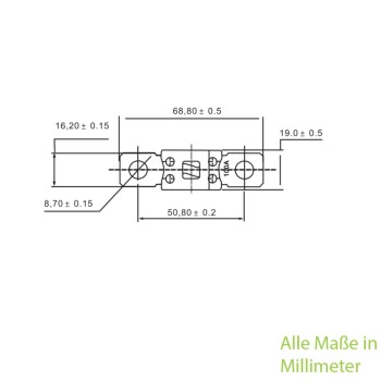 ANM Hochlast-Streifen-Sicherung 100A