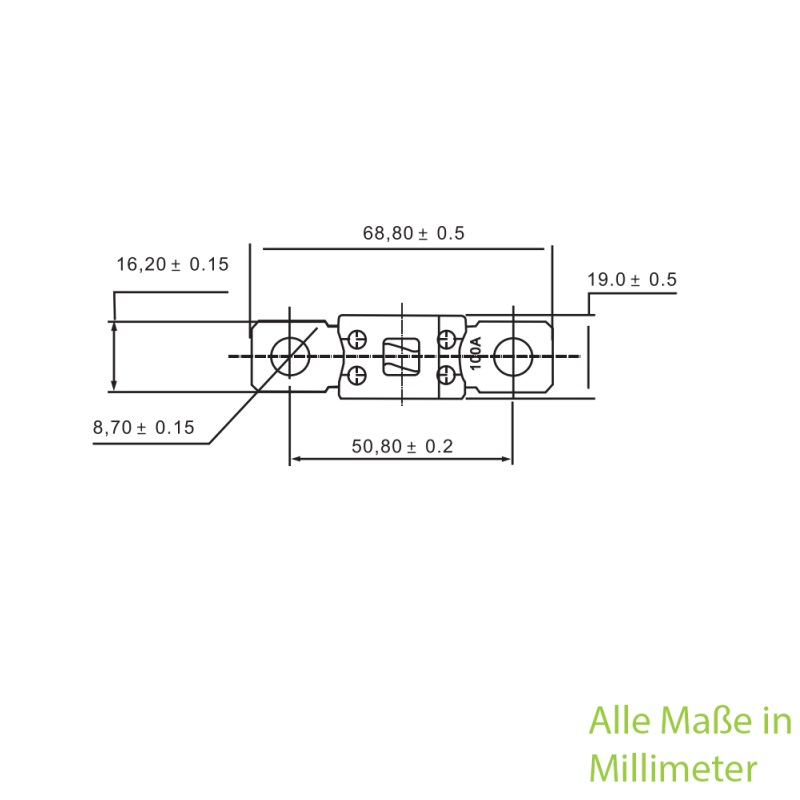 ANM Hochlast-Streifen-Sicherung 100A