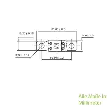 ANM Hochlast-Streifen-Sicherung 125A