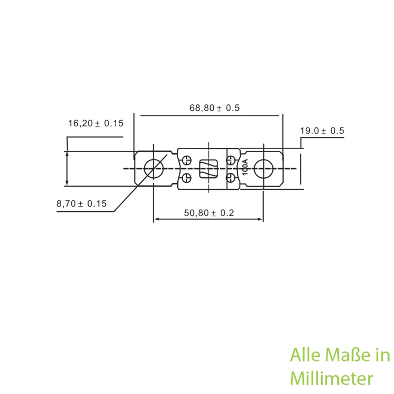 ANM Hochlast-Streifen-Sicherung 125A