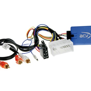LFB Hyundai / Kia diverse Fahrzeuge 24Pin Amp