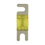 Sicherung Mini ANL 100 Ampere (silber) 4 Stück