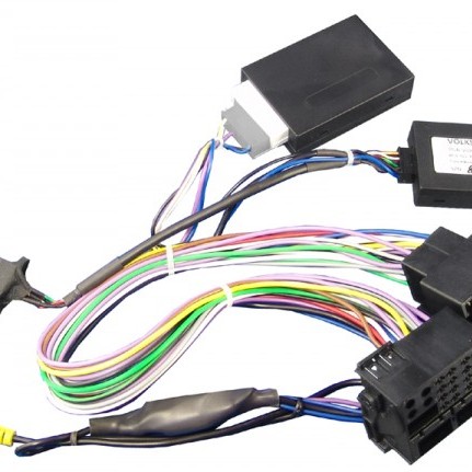 Rückfahrkameraübernahme einer VW - VAG Werks Rückfahrkamera mit bewegte linien