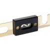 Sicherung ANL 80 Ampere (gold) 1 Stück