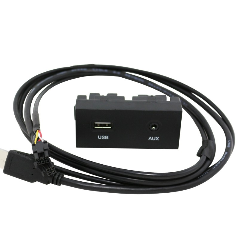 AUX-USB+VIDEO mit Klinke für SsangYong