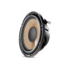 Focal Performance FLAX Subwoofer P25FS 25 cm flach