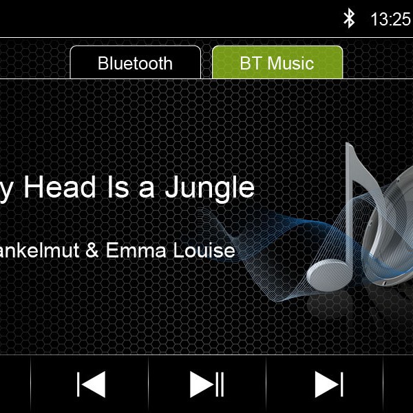 Radical R-C10BM1 Android Moniceiver für BMW E46