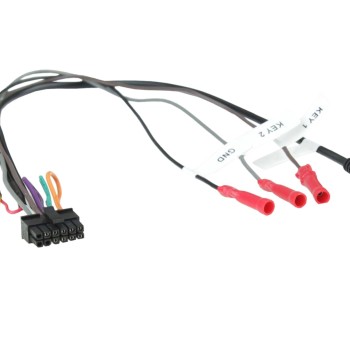 Multilead diverse Geräte/Pioneer ab 2022