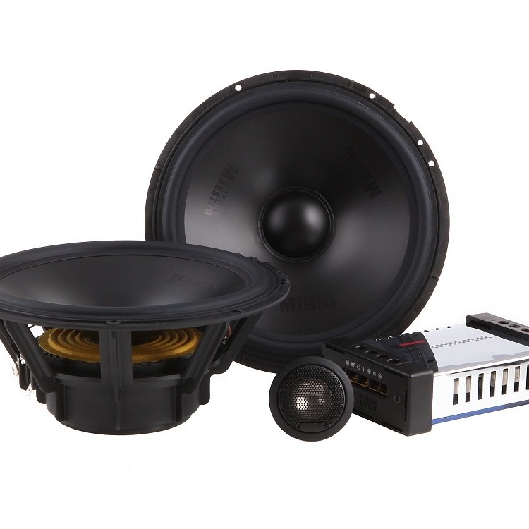 German Maestro SW8009 20 cm Subwoofer 4 Ohm